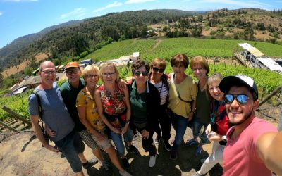 Visite de Valparaíso et visite du vignoble de la vallée de la Casa Blanca – Journée Complète